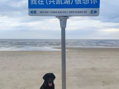 -农垦当壁镇兴凯湖旅游度假区