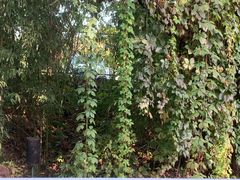 -丽泽山庄·生态怀柔菜·虹鳟鱼(红螺寺店)