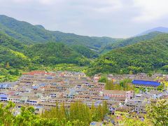 -黄贤森林公园
