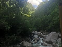 -青峰峡国家森林公园