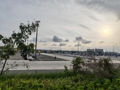 -大湾区中央湿地公园