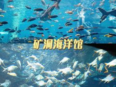 -长鹿旅游休博园