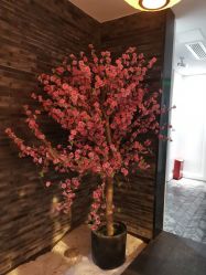 -盘子女人坊古装写真摄影(厦门总店)