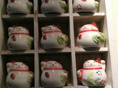 -猫咪博物馆(顶澳仔猫街店)