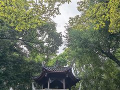 -成都杜甫草堂博物馆