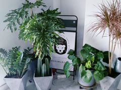 -NICO LIFE精品咖啡馆(新悦田园牧歌店)