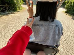 -上海海湾国家森林公园