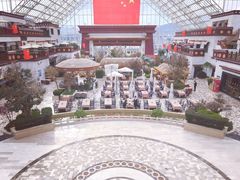 -拉萨圣地天堂洲际大饭店-自助餐厅