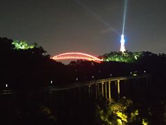 -金鸡山公园