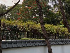 -深圳国际园林花卉博览园