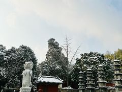 -泰山风景名胜区-普照寺