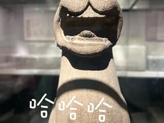-河南博物院