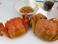 -水岸居湖景农家乐·阳澄湖大闸蟹