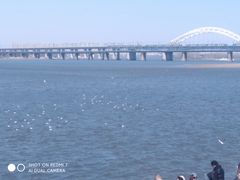 -人民防洪胜利纪念塔