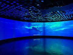 -同济大学四平路校区深海探索馆