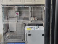 -安安宠医·安宠宠物医院