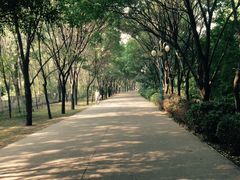 -森林公园(尖草坪区)
