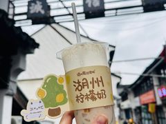 -猫的魔法密林(衣裳街店)