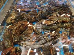 -新丁香海鲜酒店(银海商贸城店)