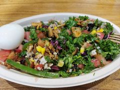 -油梨树 AVOCADO TREE(亮马桥店)