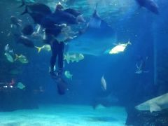 -常州海昌海洋探索馆