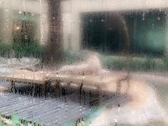 -白虎自助餐厅·真老虎·景观自助餐厅(广州长隆酒店)
