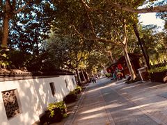 -运河游船(武林门码头)