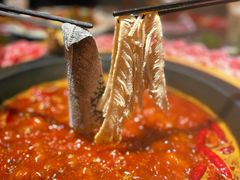 -蜀大侠火锅(森兰花园城店)