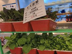 -山东宾馆·齐鲁苑餐厅