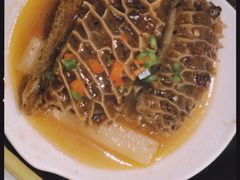 麻椒蒸金钱肚-维多利亚大酒店·雅园中餐厅