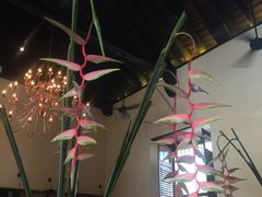 -Ministry of Crab(科伦坡店)