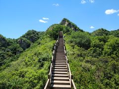 -大岭沟猕猴桃谷风景区