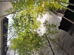 -龙潭水乡