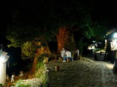 -杨家堂村