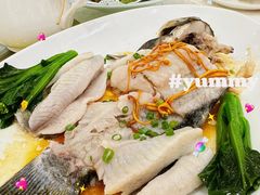 -寻味顺德·南记酒家·传统顺德菜·鱼生(广源路店)