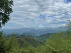 -莫干山风景区