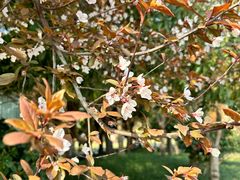 -中国天府农业博览园