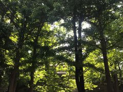 -阳台山自然风景区