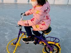 -绿野森林乐园冰雪季