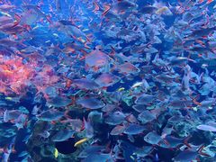 -成都浩海立方海洋公园