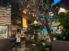 -桂满陇·海市蜃楼·黑金(国金店)