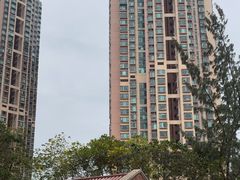 -香港大学