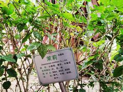 -广州神农草堂中医药博物馆