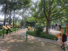 -莲花池公园