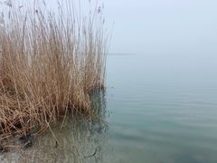 -天津东丽湖风景区