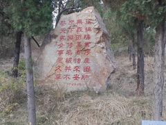 -龙口南山旅游景区