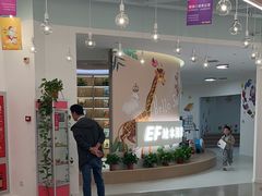 -英孚教育青少儿(宝龙中心)