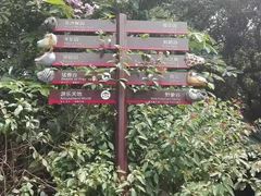 -深圳野生动物园