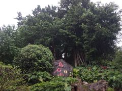 -乌山风景区