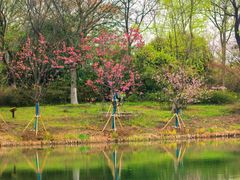 -梁鸿国家湿地公园